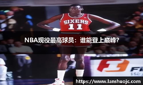 NBA现役最高球员：谁能登上巅峰？